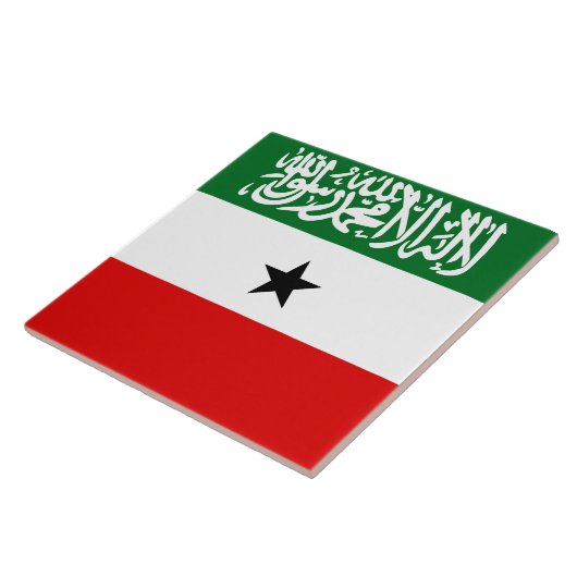 Somaliland Flag Fliese (Seite)