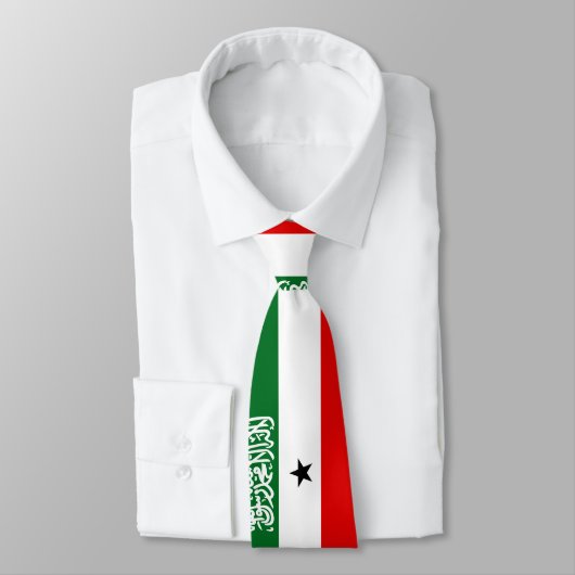 Somaliland Flag Krawatte (Gebunden)