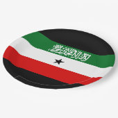 Somaliland Flag Pappteller (Schrägansicht)