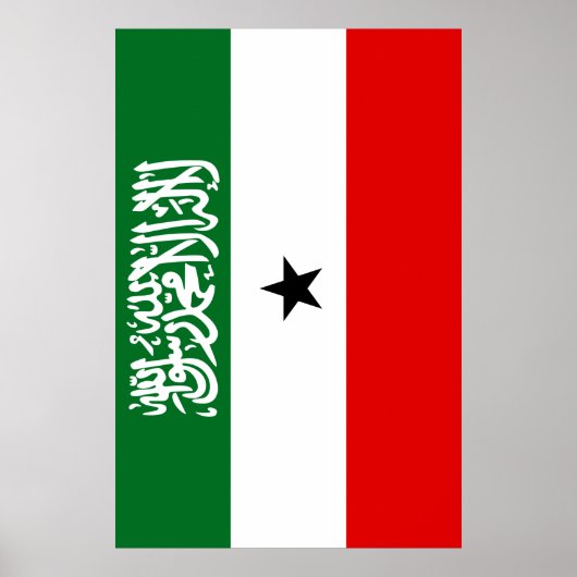 Somaliland Flag Poster (Vorne)