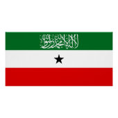 Somaliland Flag Poster (Vorderseite)