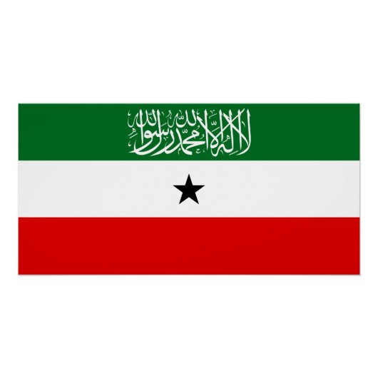 Somaliland Flag Poster (Vorderseite)