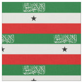 Somaliland Flag Stoff (Nahaufnahme)