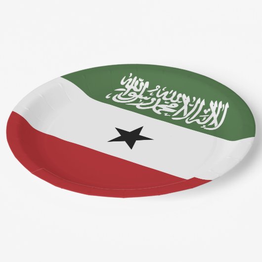 Somaliland-Flagge Pappteller (Schrägansicht)