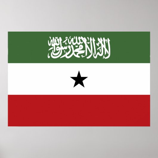 Somaliland-Flagge Poster (Vorne)