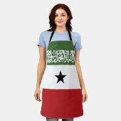 Somaliland-Flagge Schürze (Getragen)
