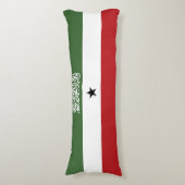 Somaliland-Flagge Seitenschläferkissen (Vorderseite Vertikal)