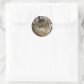Somalisch, gewöhnlich runder aufkleber (Tasche)
