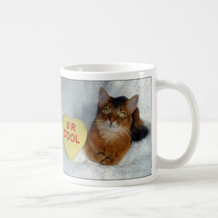 Somalische coole Tasse des Scheins der Katzen-U R