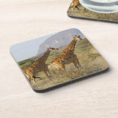 Somalische Giraffe, retikulierte Giraffe, Giraffa Untersetzer (Linke Seite)