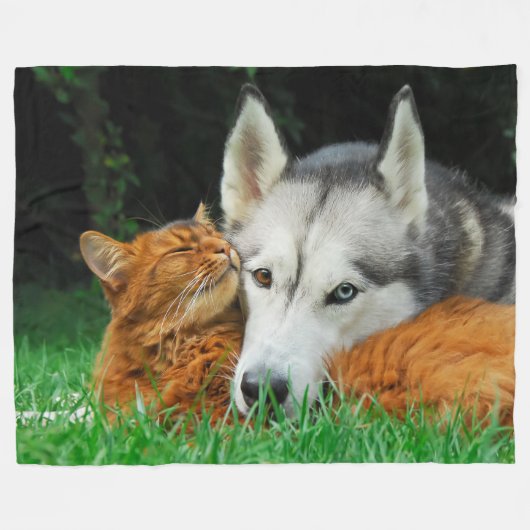 Somalische Katze und sibirische Husky-niedliche Fr Fleecedecke (Vorderseite (Horizontal))