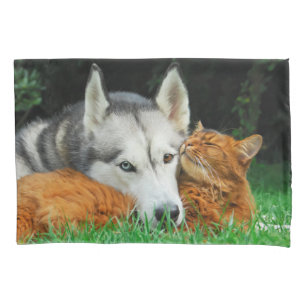 Somalische Katze und sibirische Husky-niedliche Fr Kissenbezug