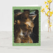 Somalische Katzen-Beileids-Karte Karte (Gelbe Blume)