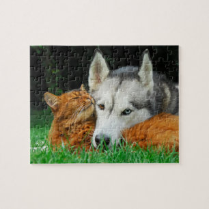 Somalische Katzen-sibirischer Puzzle