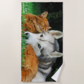 Somalische Katzen-sibirischer Strandtuch (Vorderseite)