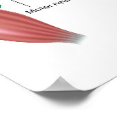 Somatischer Reflex, beschriftet. Poster (Ecke)