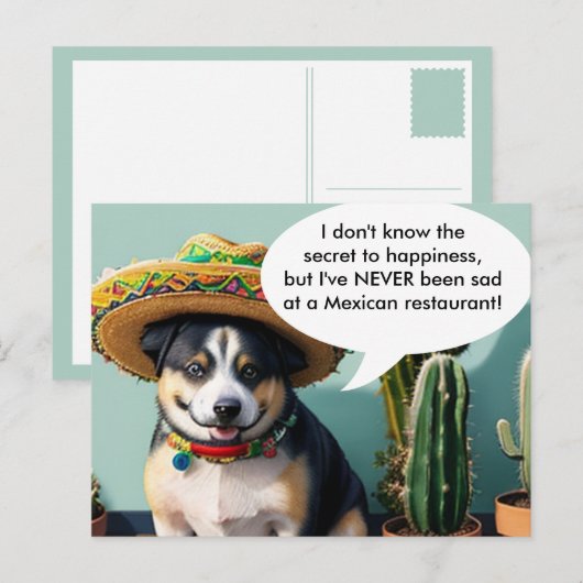Sombrero perro meme postkarte (Vorne/Hinten)