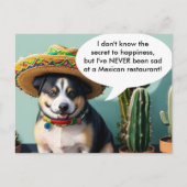 Sombrero perro meme postkarte (Vorderseite)