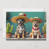 Sombreros perros einladung (Vorderseite)