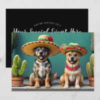 Sombreros perros