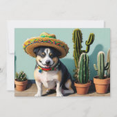 Sombreros perros einladung (Vorderseite)