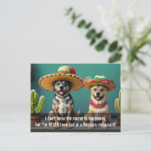 Sombreros perros meme postkarte (Stehend Vorderseite)