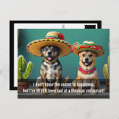 Sombreros perros meme postkarte (Vorne/Hinten)
