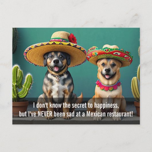 Sombreros perros meme postkarte (Vorderseite)