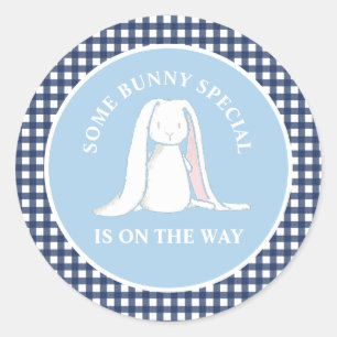 Some Bunny blau kariert Baby-Party Runder Aufkleber