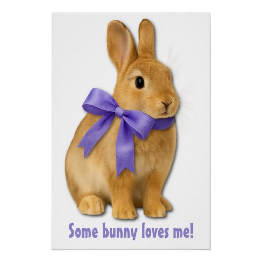Some bunny loves me! poster (Vorderseite)