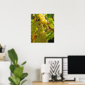 Some Chasselas in the vineyard - planted long Poster (Heimbüro)