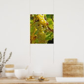 Some Chasselas in the vineyard - planted long Poster (Küche)