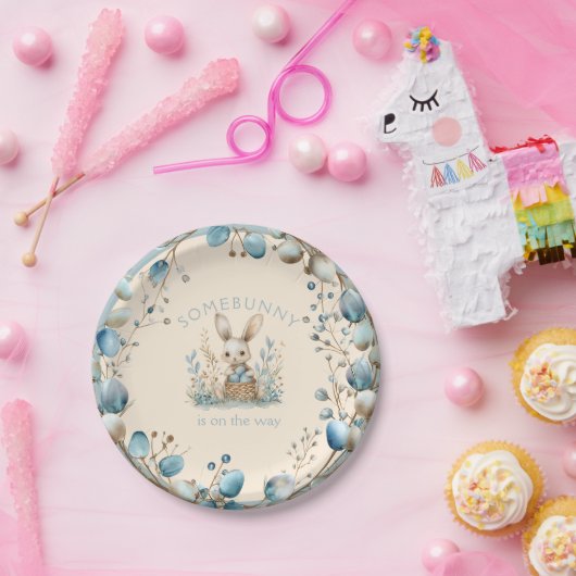 Somebunny ist unterwegs pappteller (Party)