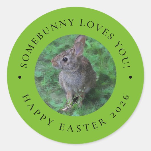 SomeBunny Loves You Valentine's Day Easter Sticker (Vorderseite)