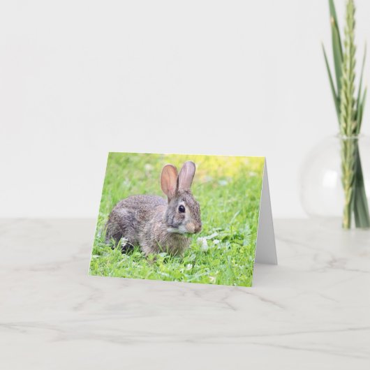 Somebunny to Liebe Note Card Karte (Vorderseite)