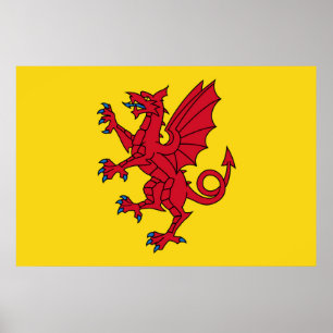 Somerset Flag England Dragesymbol Poster