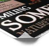 Somerset UK Vintage Poster 1940 (Ecke)