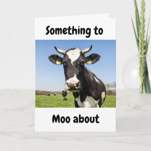 SOMETHING TO *MOO ABOUT* PREGNANCY KARTE (Vorderseite)