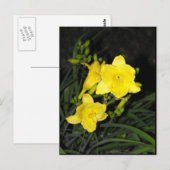 ~ Sommer 10 ~ Postkarte (Vorne/Hinten)