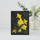 ~ Sommer 11 ~ Postkarte (Stehend Vorderseite)