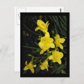 ~ Sommer 11 ~ Postkarte (Vorne/Hinten)