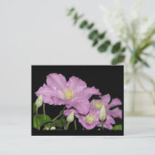 ~ Sommer 13 ~ Postkarte (Stehend Vorderseite)