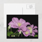 ~ Sommer 13 ~ Postkarte (Vorne/Hinten)