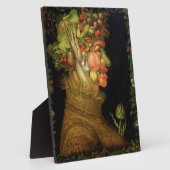 Sommer 1573 fotoplatte (Seite)