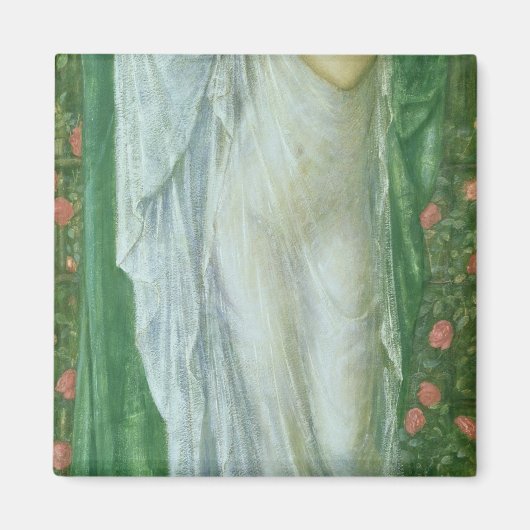 Sommer 1869-70 magnet (Vorne)