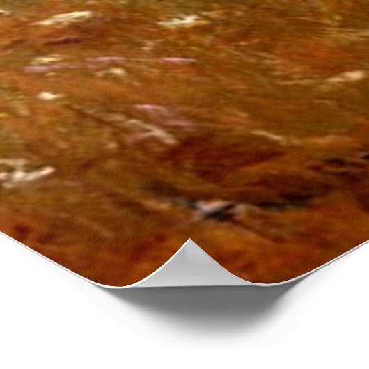 Sommer 1909 poster (Ecke)