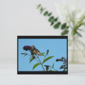 ~ Sommer 19 ~ Postkarte (Stehend Vorderseite)