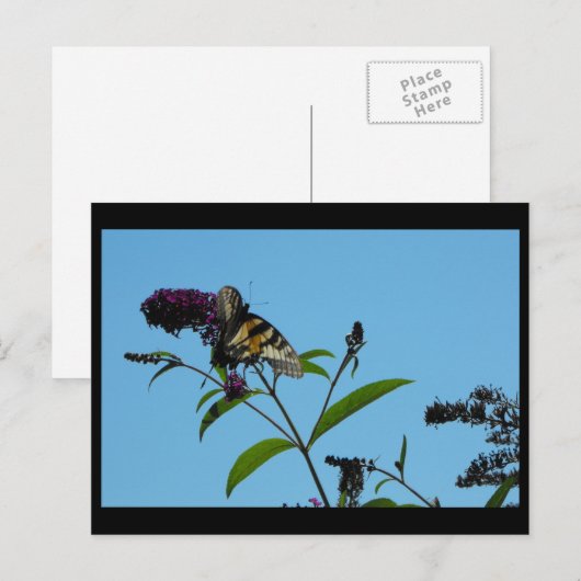 ~ Sommer 19 ~ Postkarte (Vorne/Hinten)