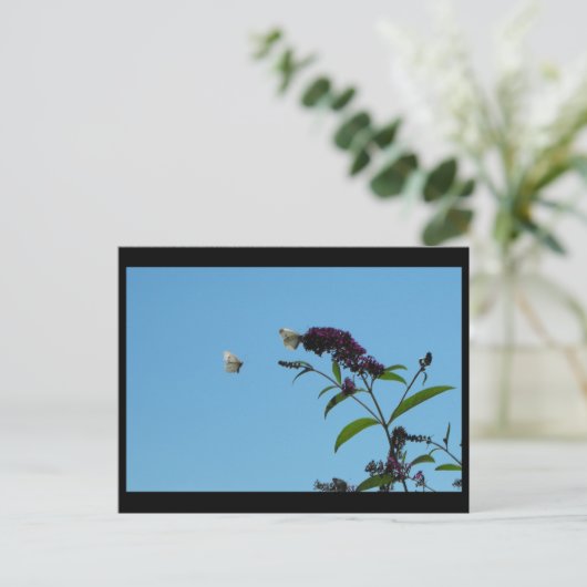 ~ Sommer 20 ~ Postkarte (Stehend Vorderseite)