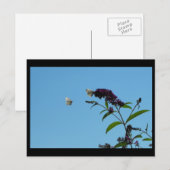 ~ Sommer 20 ~ Postkarte (Vorne/Hinten)